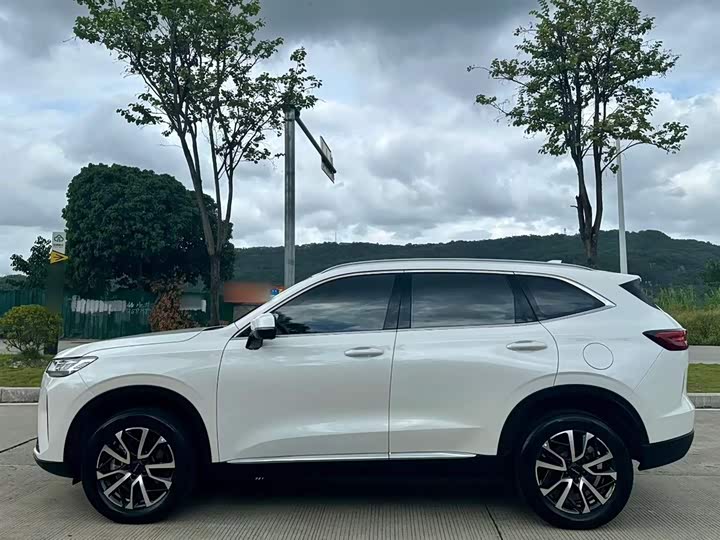 Фото 10 - Haval H6