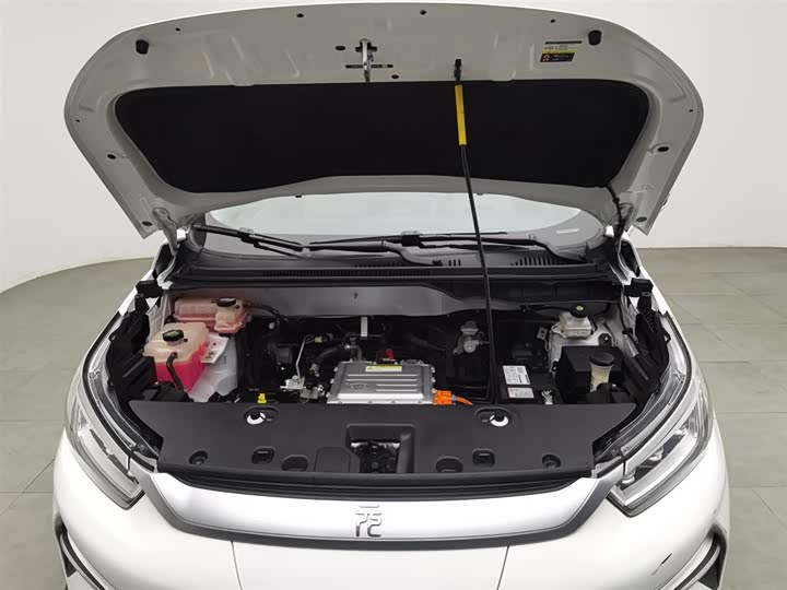 Фото 6 - BYD Yuan Pro