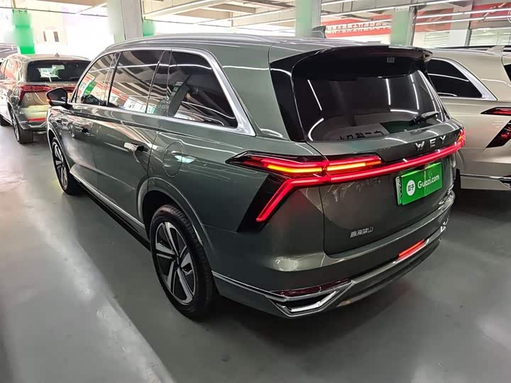 Фото 5 - Wey Lanshan