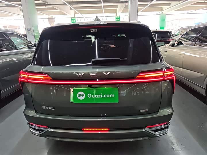 Фото 6 - Wey Lanshan