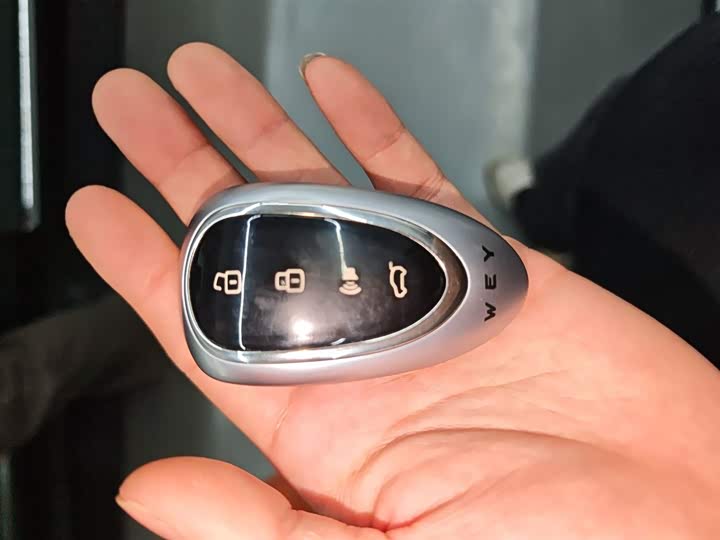 Фото 9 - Wey Lanshan