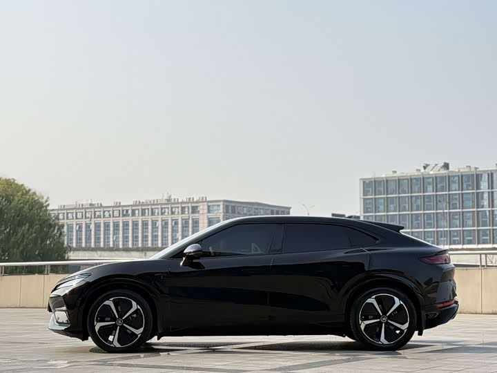 Фото 3 - BYD Song L