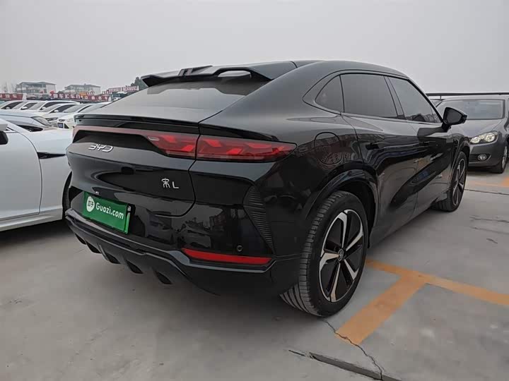 Фото 7 - BYD Song L