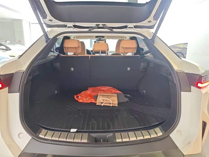 Фото 10 - Lexus RZ