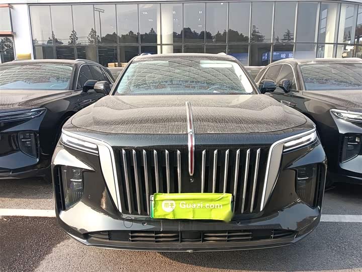 Фото 3 - Hongqi E-HS9