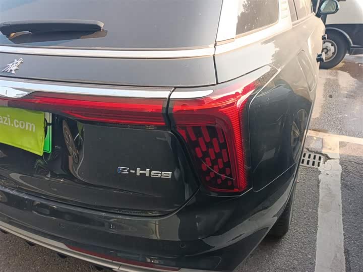 Фото 8 - Hongqi E-HS9