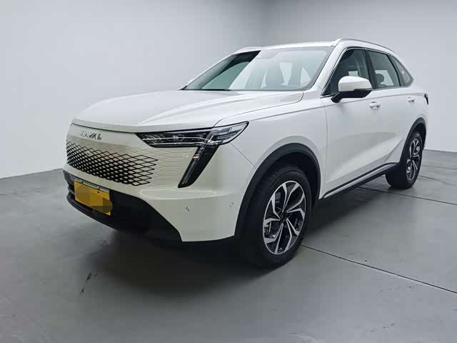 Фото 1 - Haval Ruge Max