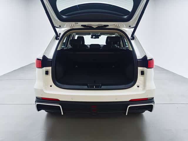 Фото 19 - Haval Ruge Max