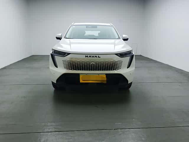 Фото 5 - Haval Ruge Max