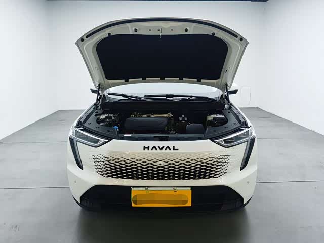 Фото 7 - Haval Ruge Max