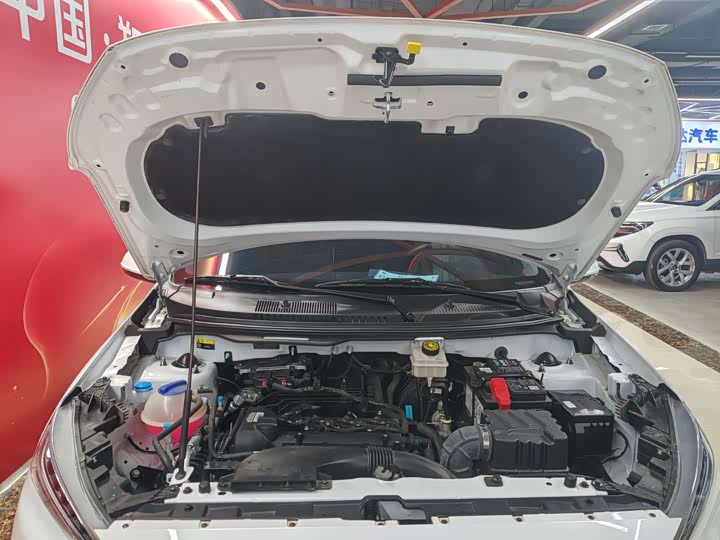 Фото 18 - Chery Tiggo 3x