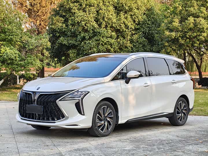 Фото 1 - Dongfeng Forthing Yacht