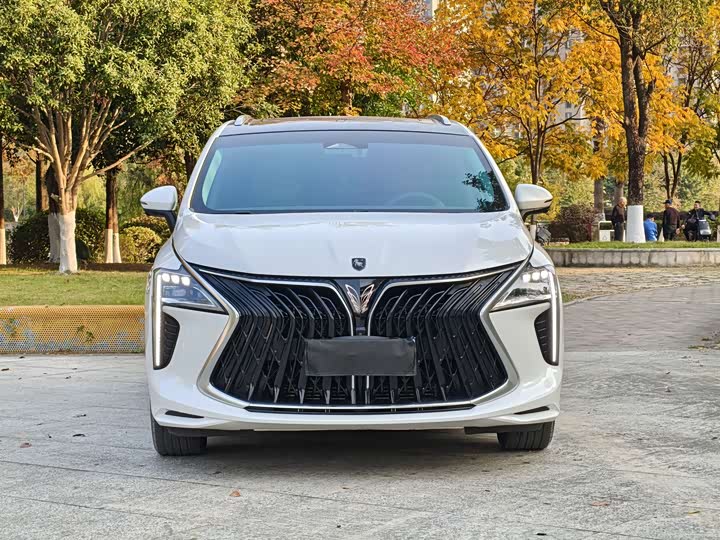 Фото 2 - Dongfeng Forthing Yacht