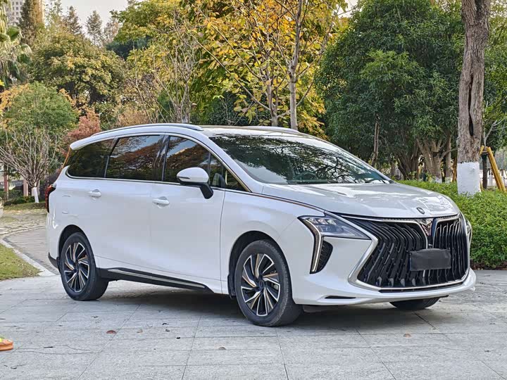 Фото 3 - Dongfeng Forthing Yacht