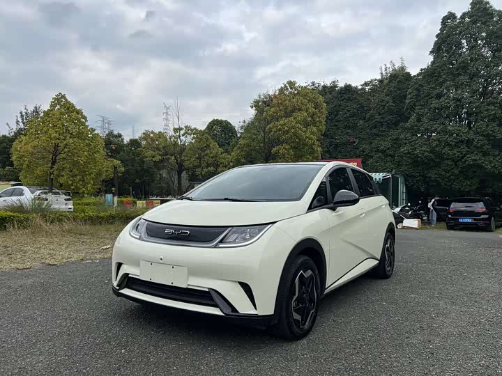 Фото 1 - BYD Dolphin