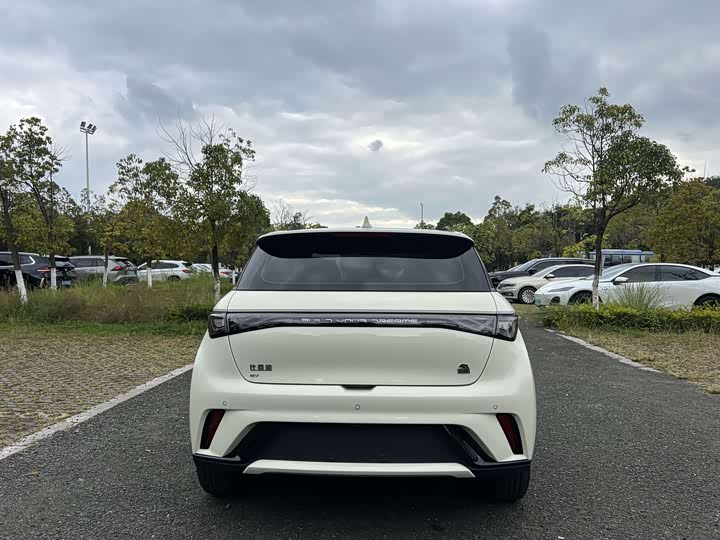 Фото 10 - BYD Dolphin