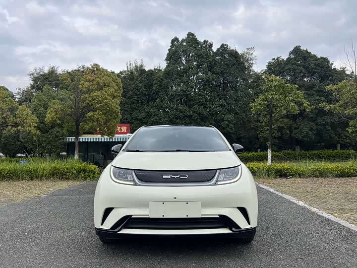 Фото 2 - BYD Dolphin