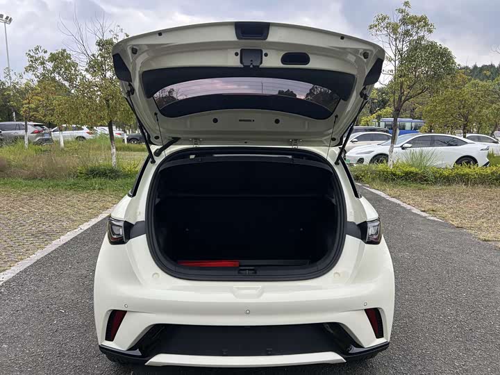 Фото 21 - BYD Dolphin