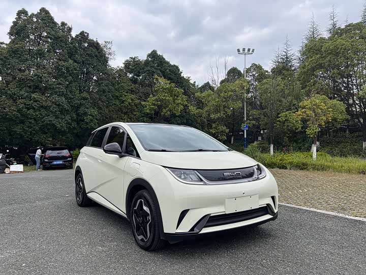 Фото 3 - BYD Dolphin