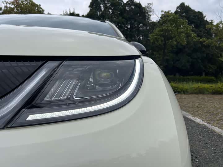 Фото 4 - BYD Dolphin