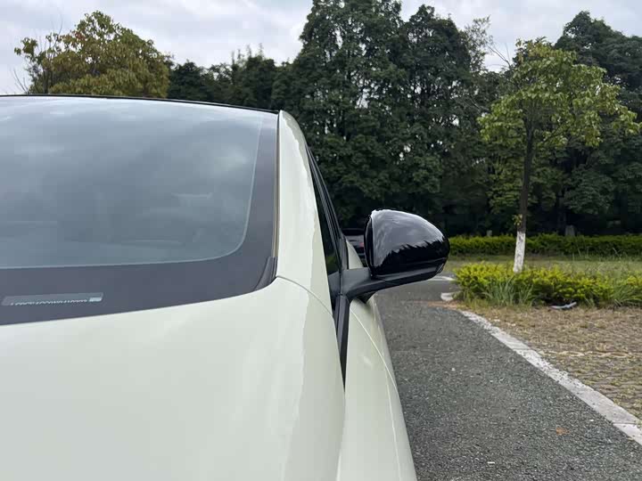 Фото 5 - BYD Dolphin