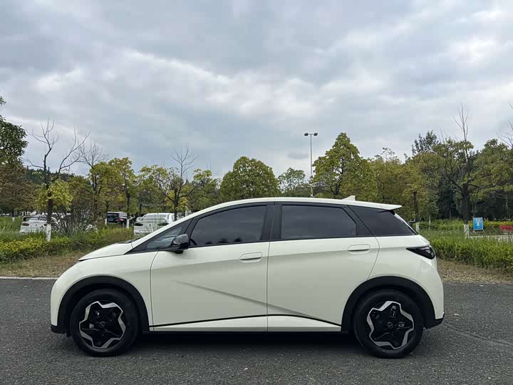 Фото 6 - BYD Dolphin