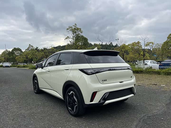 Фото 9 - BYD Dolphin