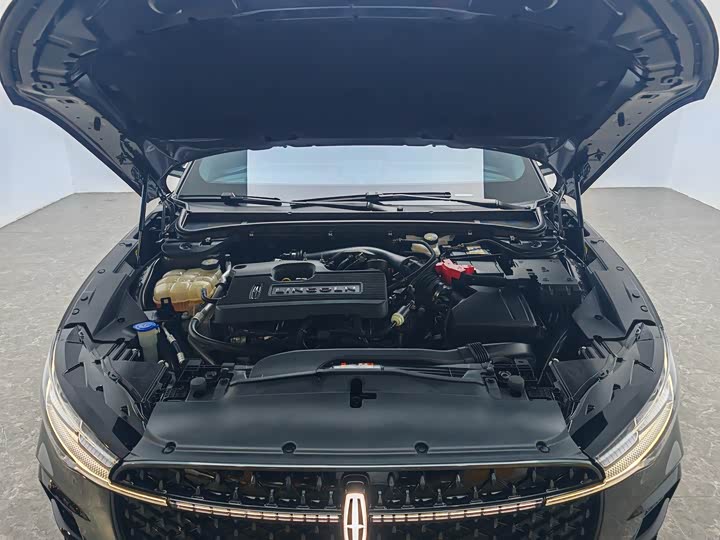 Фото 12 - Lincoln Z (Zephyr)