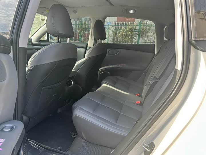 Фото 4 - IM motors LS6