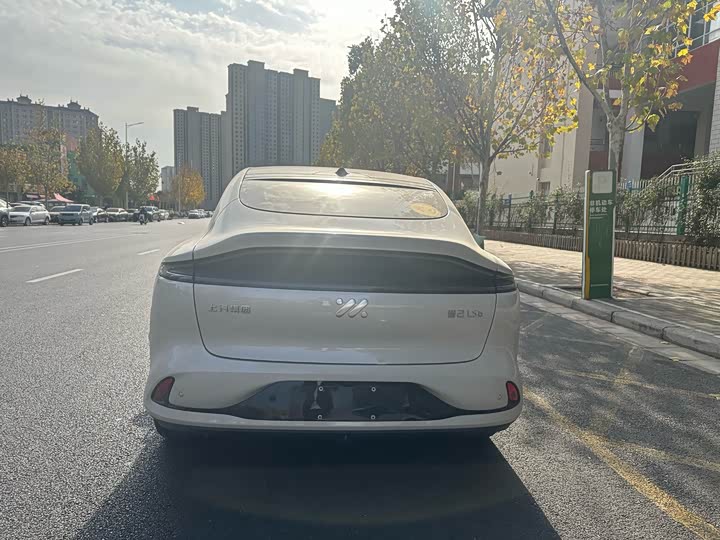 Фото 7 - IM motors LS6