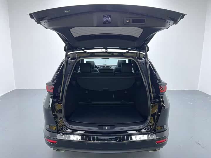 Фото 16 - Honda Breeze