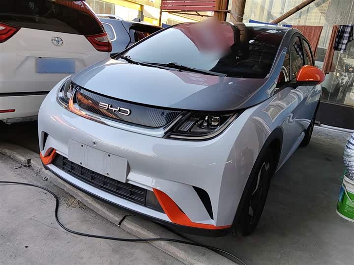 Фото 1 - BYD Dolphin