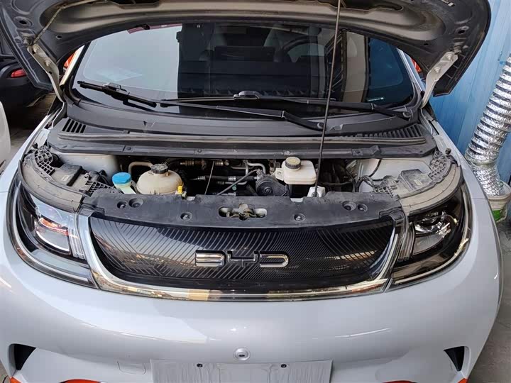 Фото 10 - BYD Dolphin