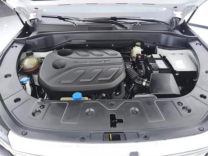 Фото 10 - Changan Oshan Z6