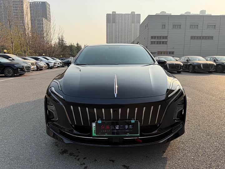 Фото 2 - Hongqi E-QM5