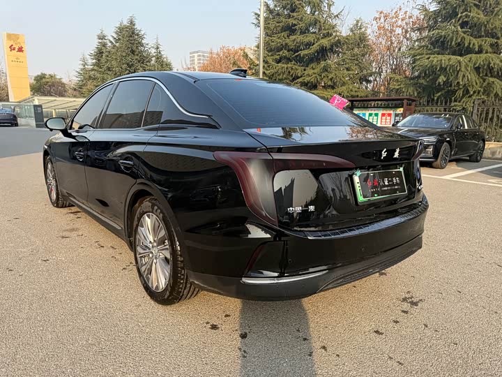 Фото 7 - Hongqi E-QM5