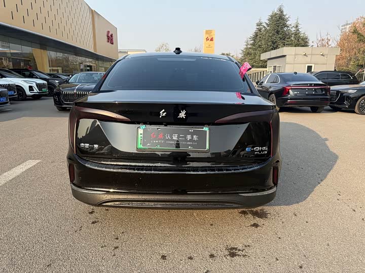 Фото 8 - Hongqi E-QM5