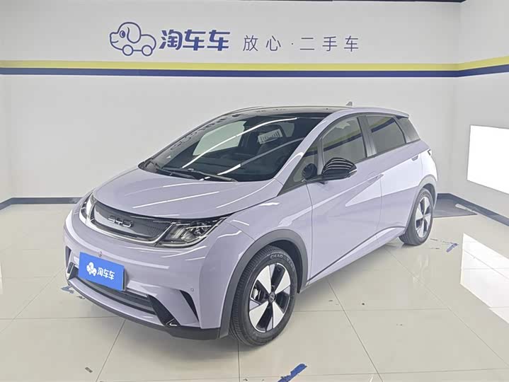 Фото 1 - BYD Dolphin