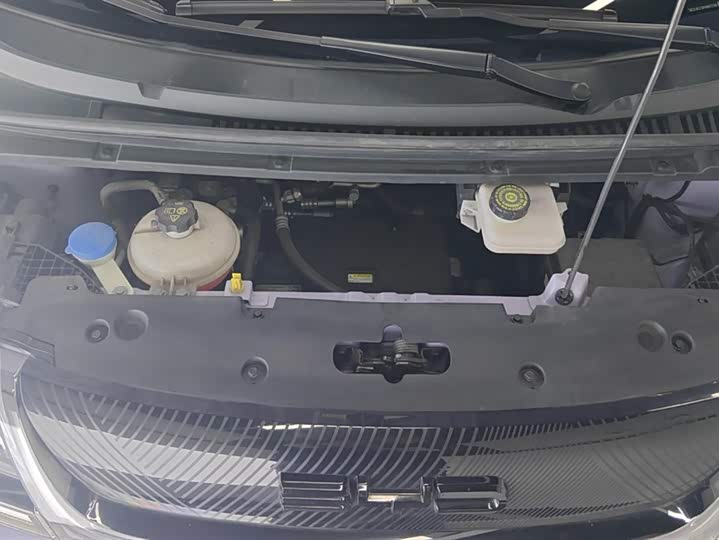 Фото 10 - BYD Dolphin