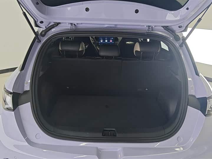 Фото 4 - BYD Dolphin