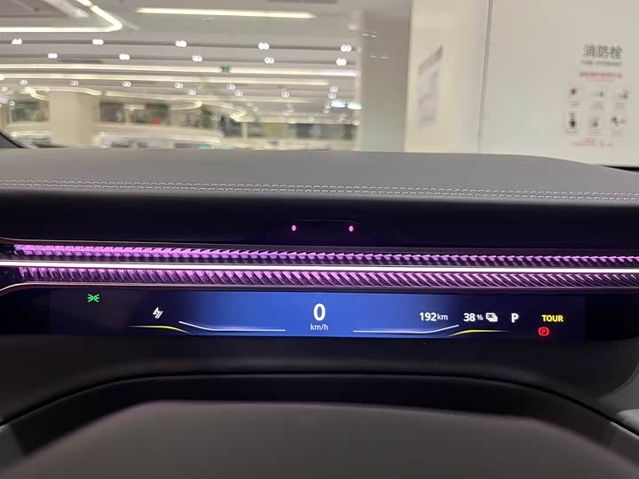 Фото 10 - Lotus Eletre