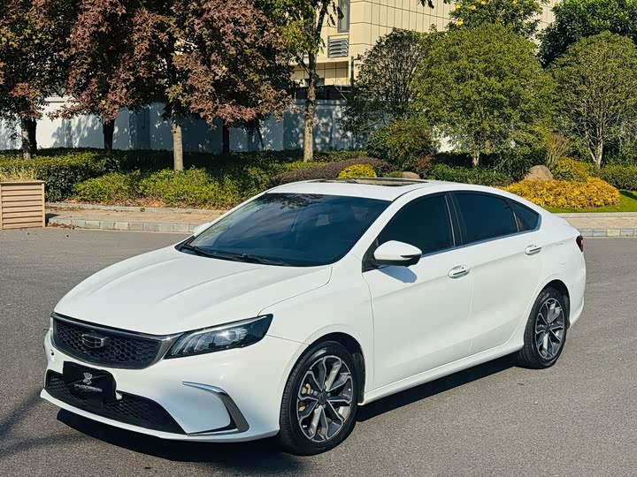 Фото 3 - Geely Binrui