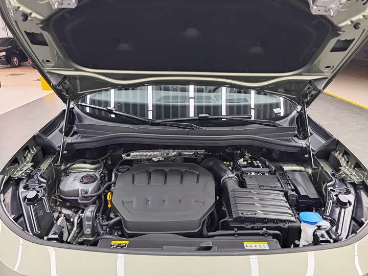 Фото 21 - Volkswagen Tayron