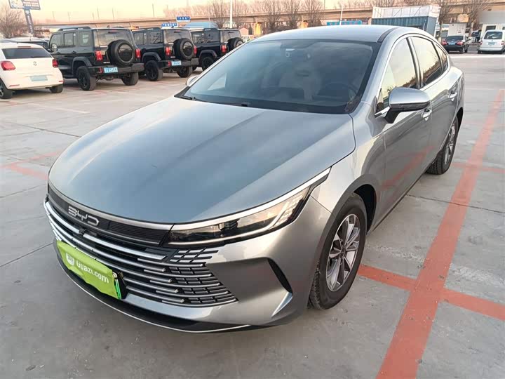 Фото 2 - BYD Destroyer 05