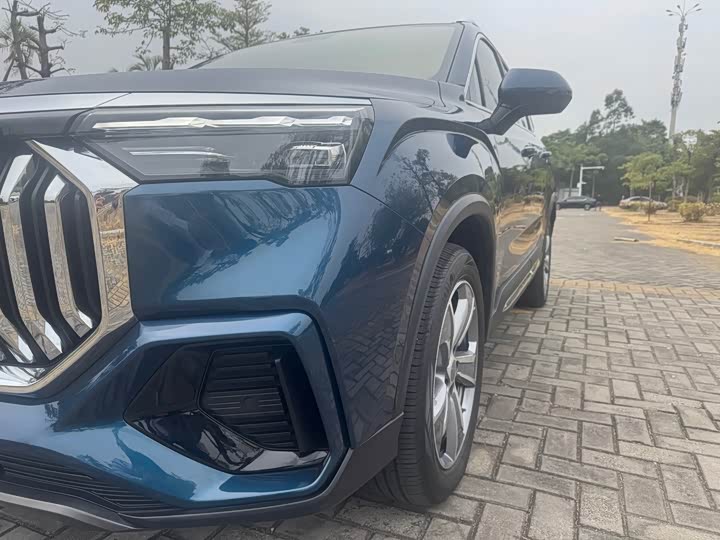 Фото 8 - Geely Okavango L