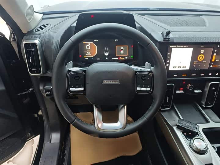 Фото 11 - Haval Dargo