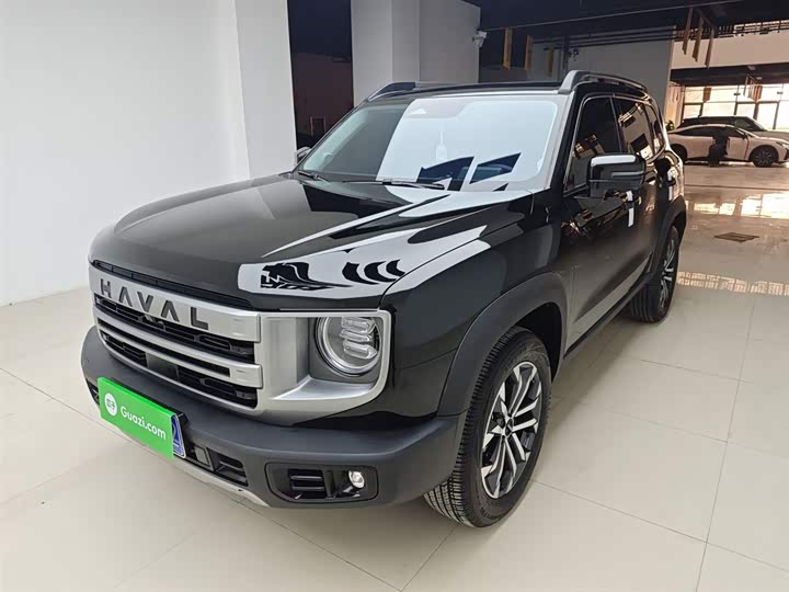 Фото 2 - Haval Dargo