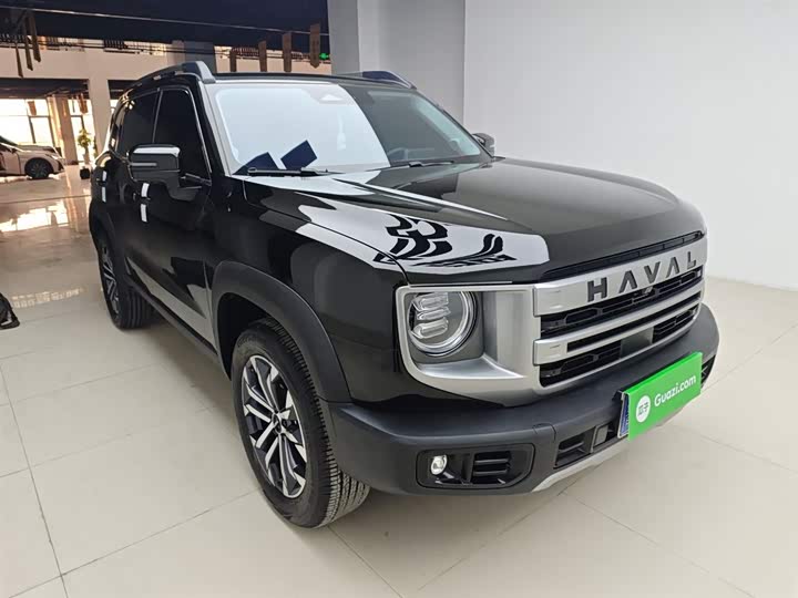 Фото 4 - Haval Dargo