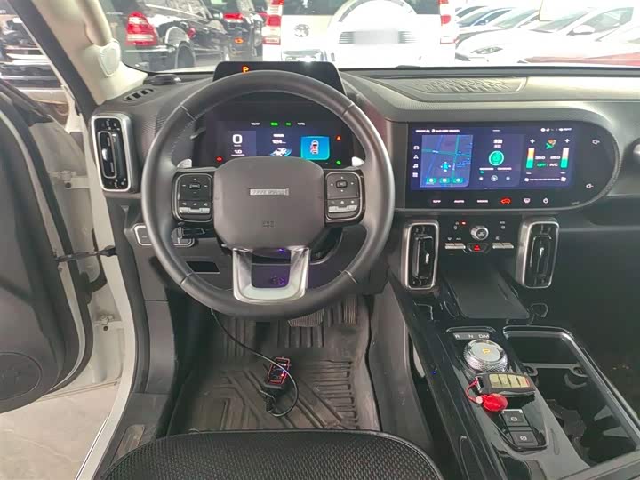 Фото 11 - Haval Dargo