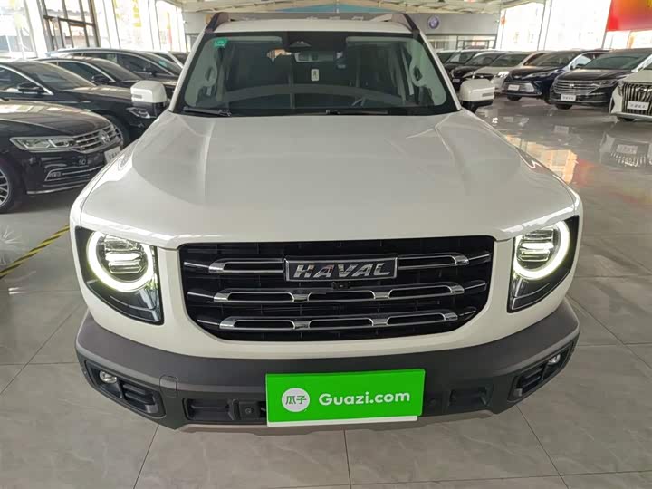 Фото 3 - Haval Dargo